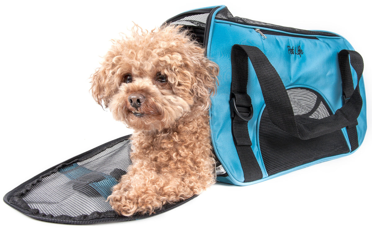 The Pet Life Narrow Shelled Lightweight Collapsible Military Grade  Transportable Designer Pet Carrier - JCPenney